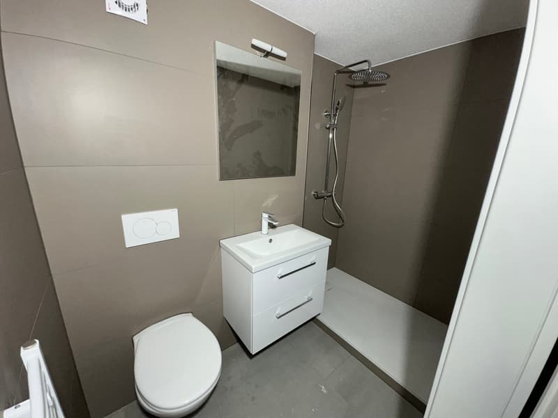 Spacious, completely renovated 5-room apartment in the heart of Aarwangen (4)