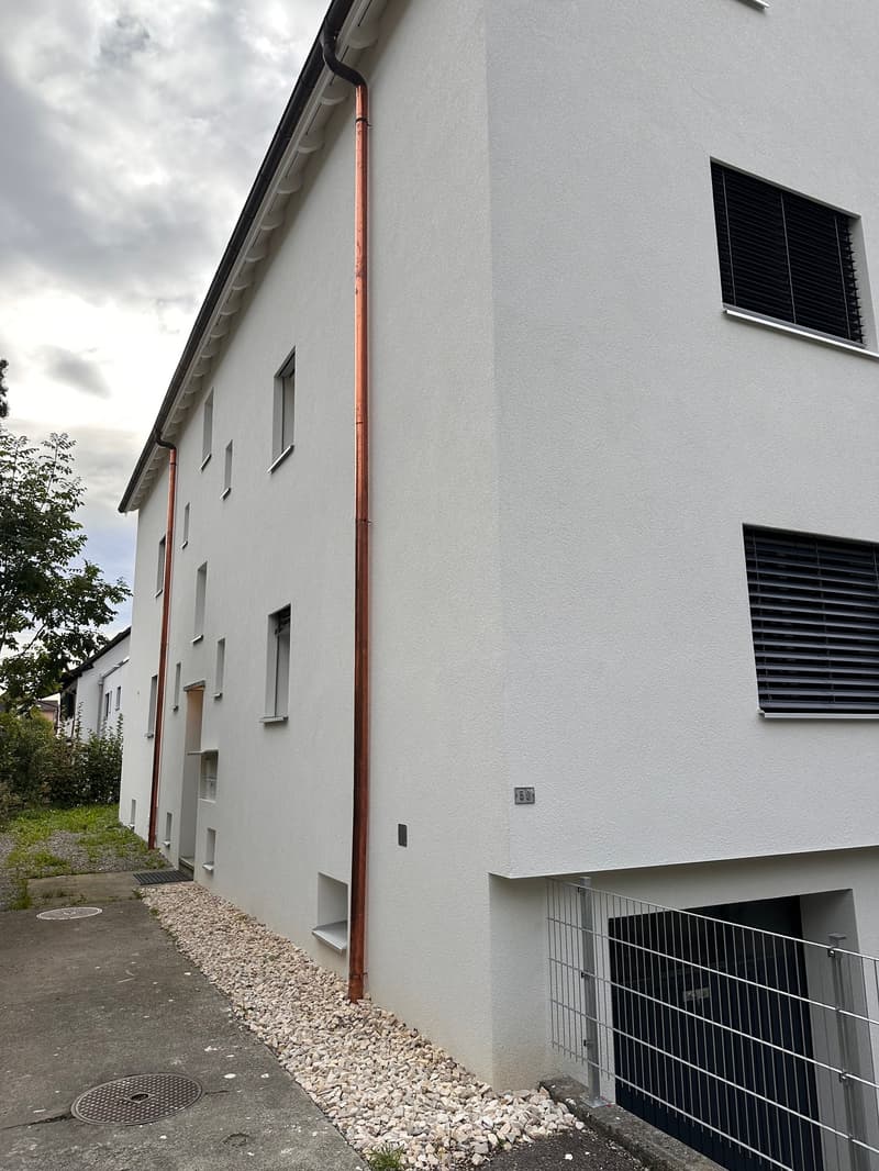 Bright, renovated 3.5-room apartment for rent in a central location (3)