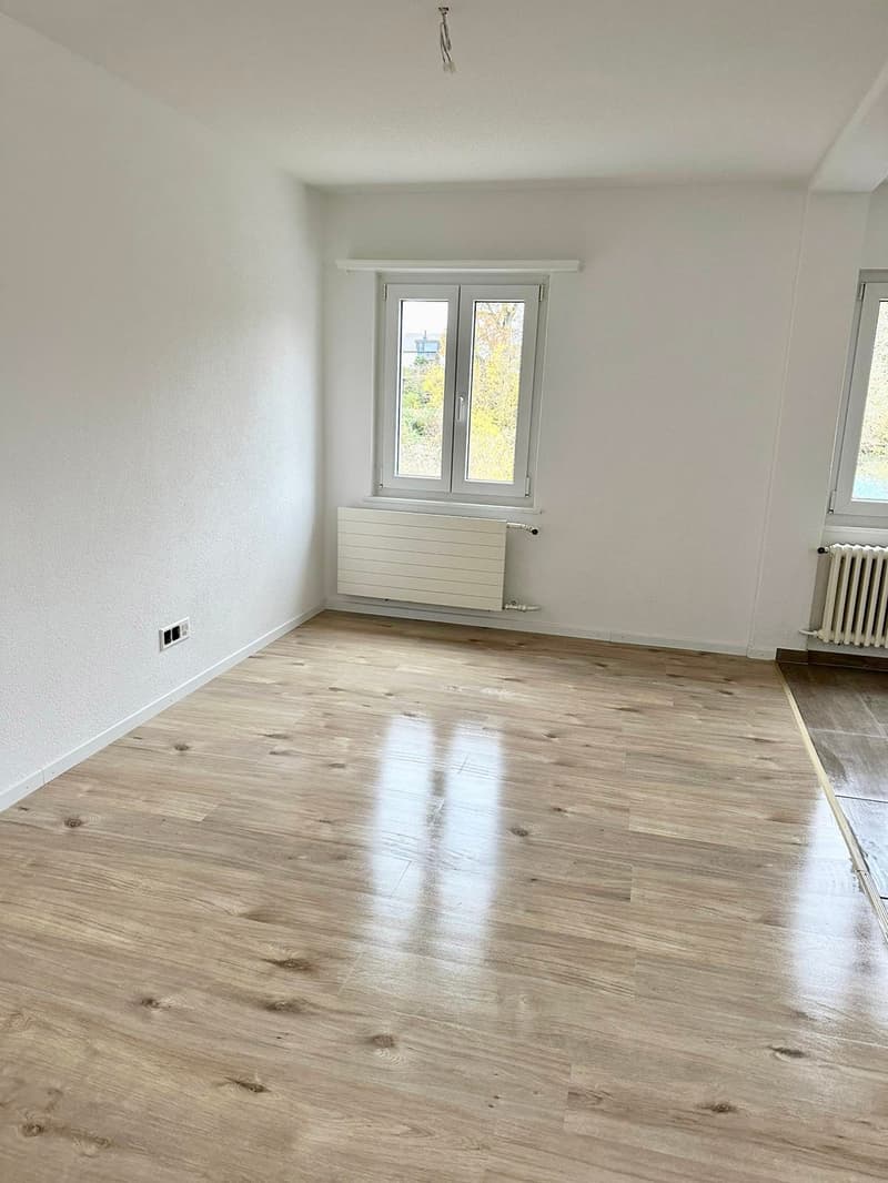 Bright, renovated 3.5-room apartment for rent in a central location (6)