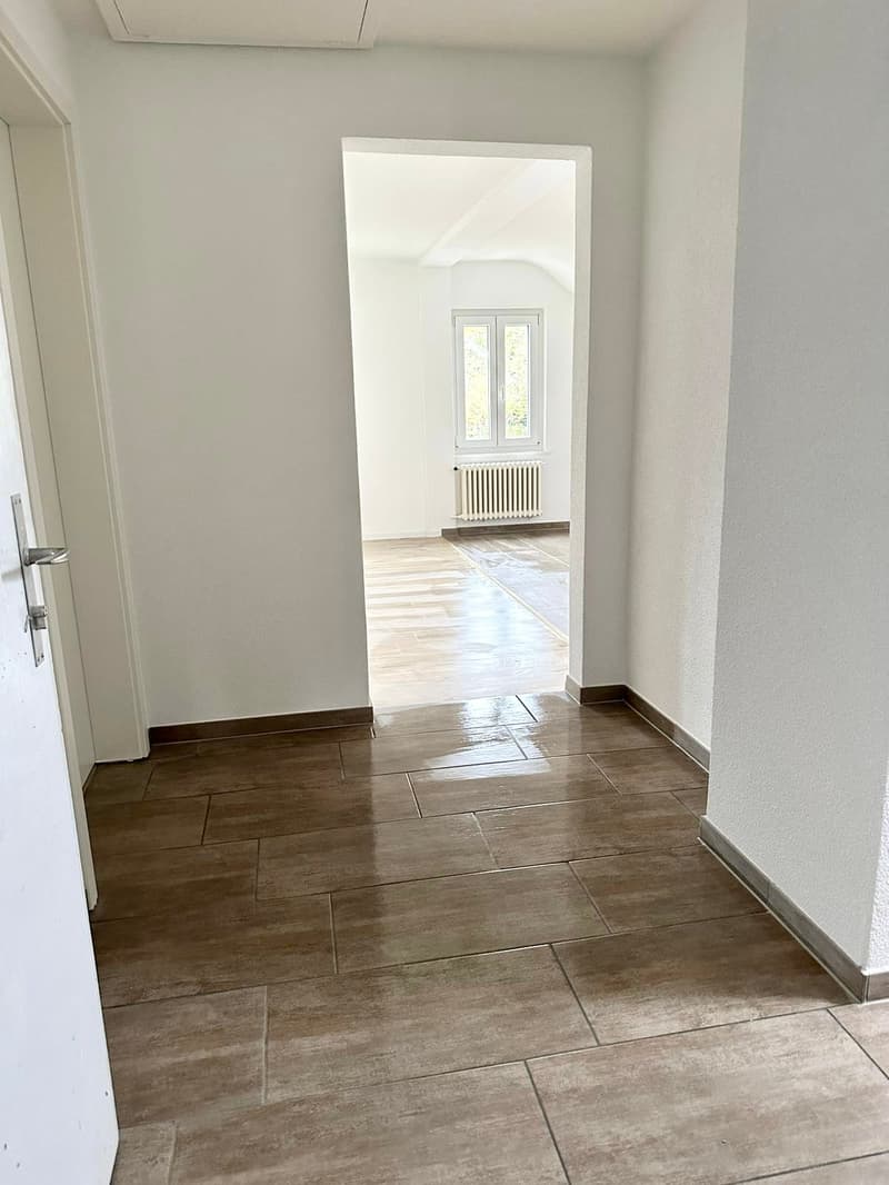 Bright, renovated 3.5-room apartment for rent in a central location (7)