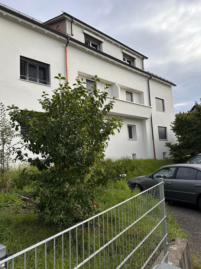 Bright, renovated 3.5-room apartment for rent in a central location (2)