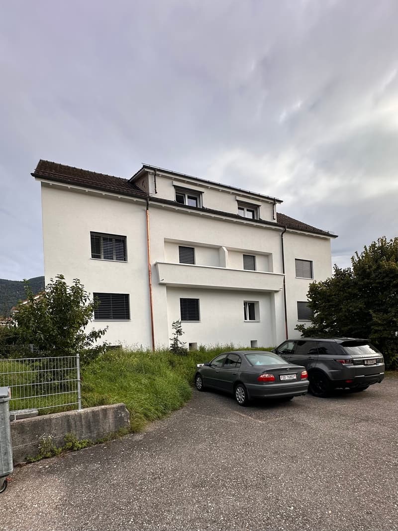 Bright, renovated 3.5-room apartment for rent in a central location (1)