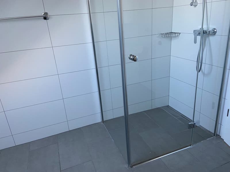Charmante 3.5-Zimmer-Dachwohnung mit Terrasse und schöner Aussicht in Aarwangen (5)
