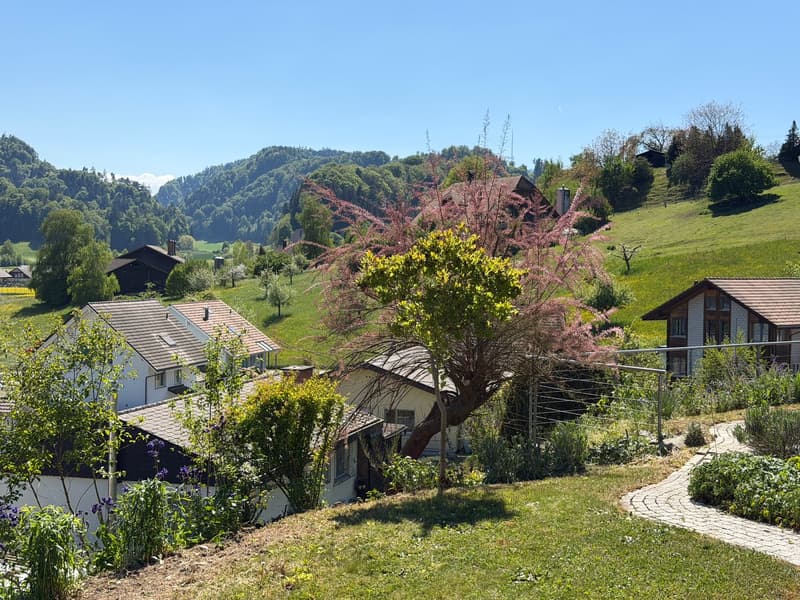 Casa unifamiliare ben curata in una zona tranquilla a Krauchthal (3)