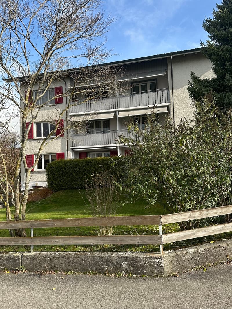 Noleggiamo due bellissimi appartamenti a Koppigen in una posizione tranquilla con vista panoramica (2)
