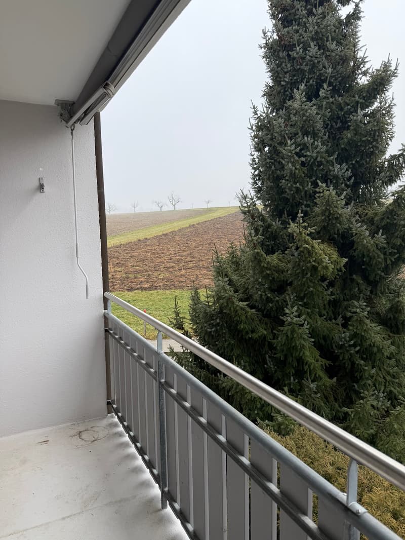 Noleggiamo due bellissimi appartamenti a Koppigen in una posizione tranquilla con vista panoramica (10)