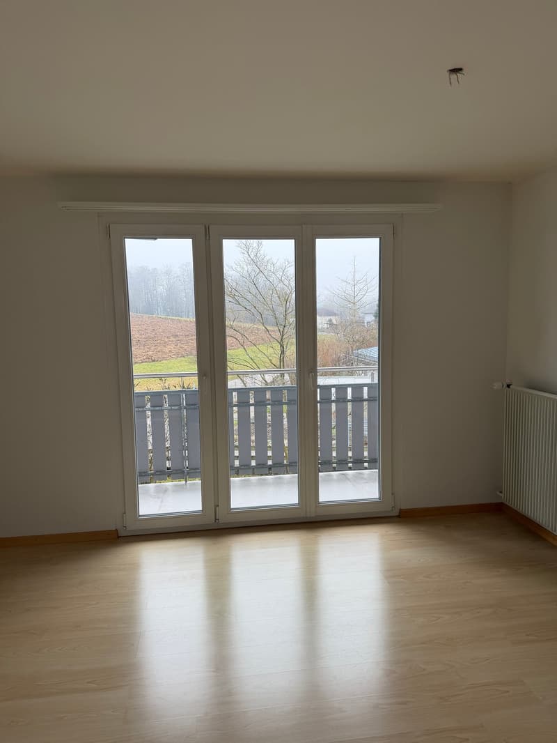 Noleggiamo due bellissimi appartamenti a Koppigen in una posizione tranquilla con vista panoramica (7)