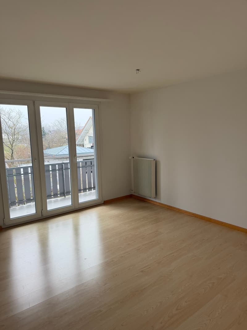 Noleggiamo due bellissimi appartamenti a Koppigen in una posizione tranquilla con vista panoramica (6)