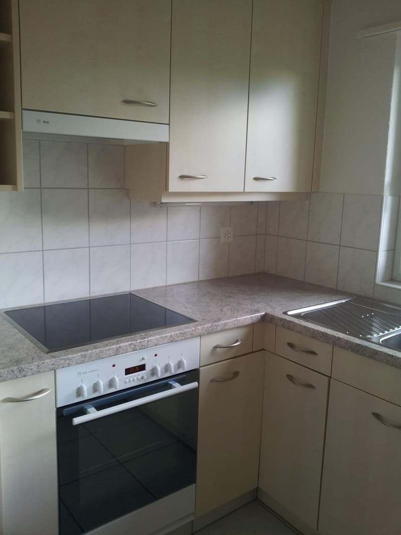 Helle 3.5-Zimmer-Erdgeschosswohnung im Hochparterre zu vermieten (3)
