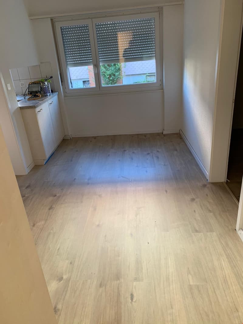 Helle 3.5-Zimmer-Erdgeschosswohnung im Hochparterre zu vermieten (5)