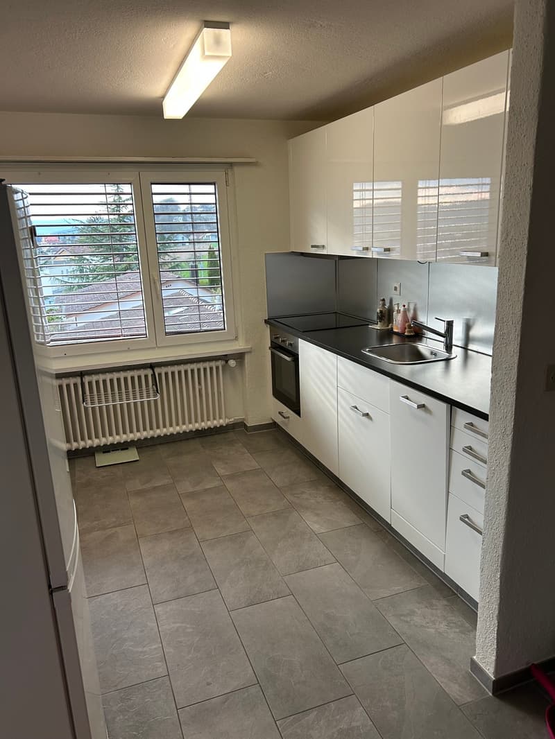 Helle 4.5-Zimmer-Erdgeschosswohnung mit Balkon in Dottikon (2)