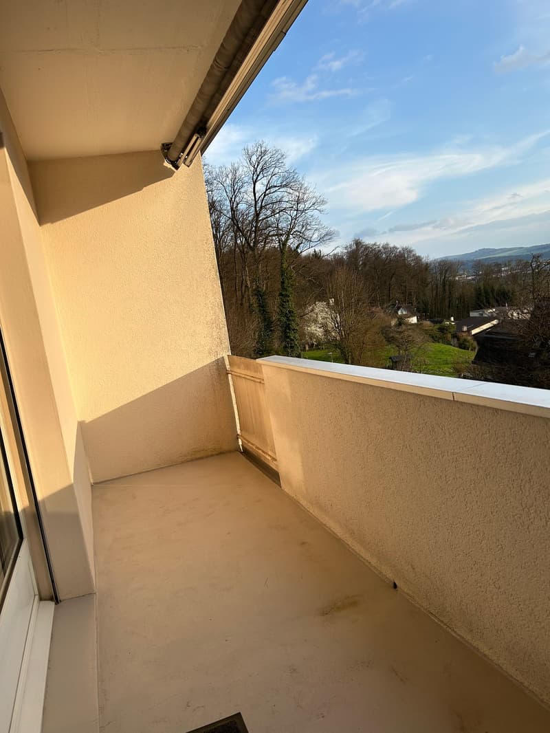 Helle 4.5-Zimmer-Erdgeschosswohnung mit Balkon in Dottikon (7)