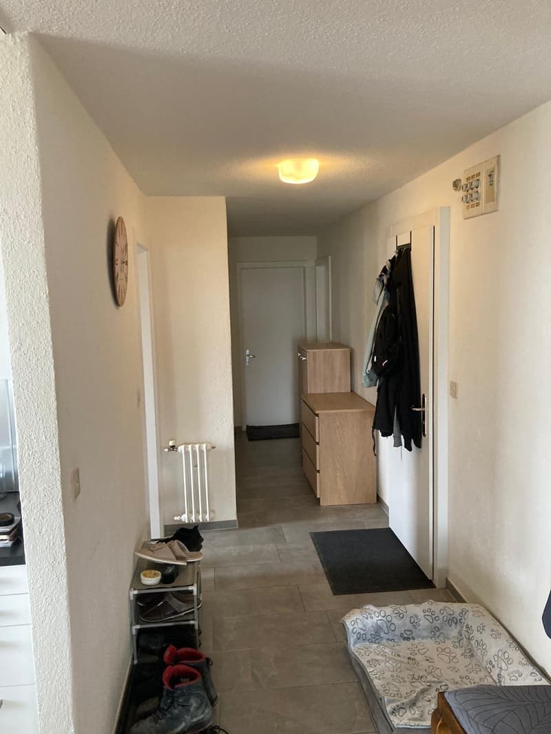 Helle 4.5-Zimmer-Erdgeschosswohnung mit Balkon in Dottikon (3)