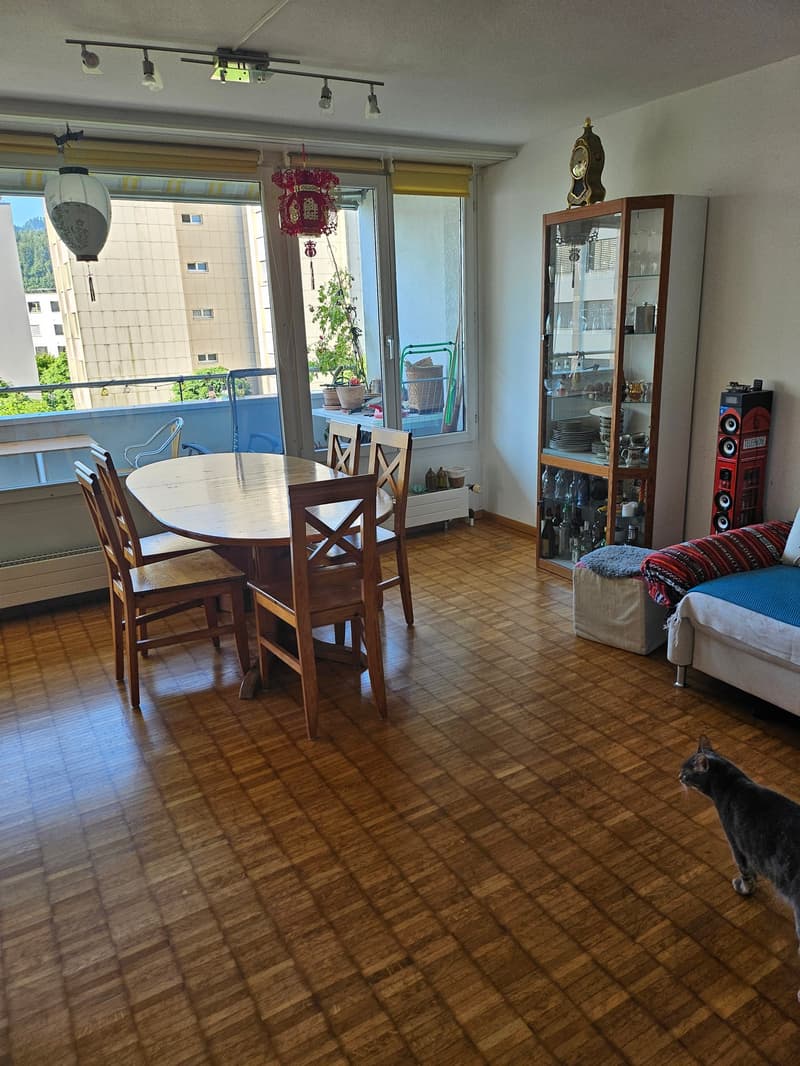 Visite, 20.6.2026 - Appartement 5 1/2 pièces convivial pour les familles à Horw (4)