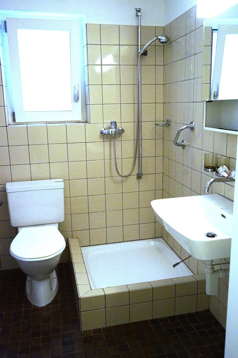 Sammelbesichtigung: Charmante 2-Zimmer-Altbauwohnung im 5. OG an der Bireggstrasse, Luzern (7)