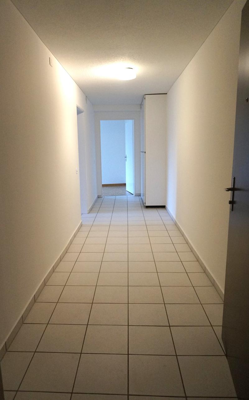 Sammelbesichtigung: Charmante 2-Zimmer-Altbauwohnung im 5. OG an der Bireggstrasse, Luzern (6)