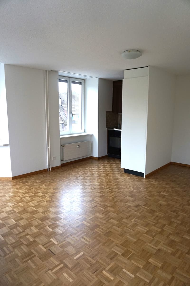 Sammelbesichtigung: Charmante 2-Zimmer-Altbauwohnung im 5. OG an der Bireggstrasse, Luzern (3)