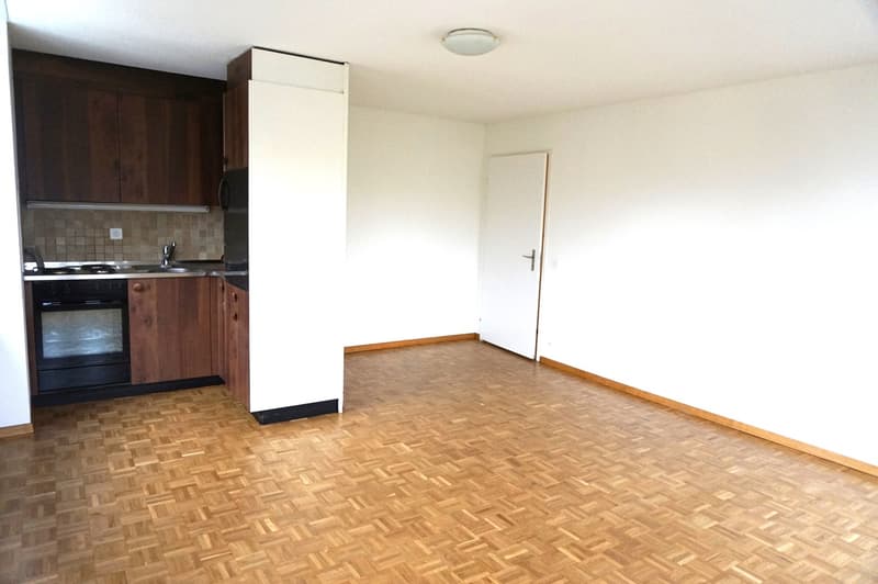 Sammelbesichtigung: Charmante 2-Zimmer-Altbauwohnung im 5. OG an der Bireggstrasse, Luzern (4)