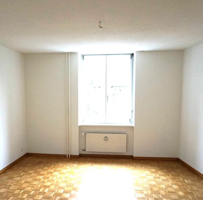 Sammelbesichtigung: Charmante 2-Zimmer-Altbauwohnung im 5. OG an der Bireggstrasse, Luzern (5)