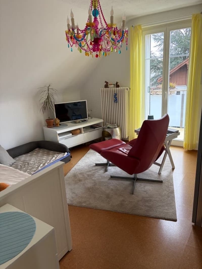 living room with a couch, TV, radiator, carpet, and a window with a view