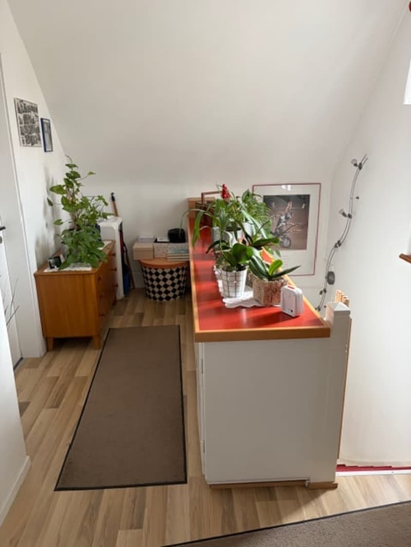 A room with wooden floor, white walls, a wooden cabinet with plants, a red countertop with potted plants, a picture frame, and a brown rug.