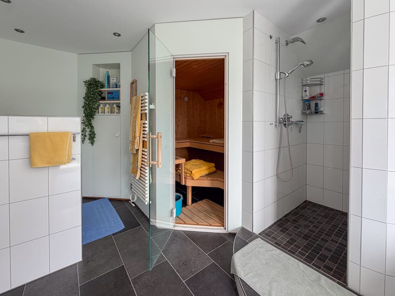 4-Zimmer-Wohnung mit Weitblick auf den Alpstein und den Säntis (8)