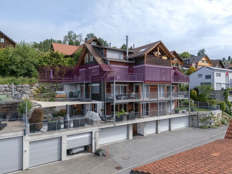 4-Zimmer-Wohnung mit Weitblick auf den Alpstein und den Säntis (1)