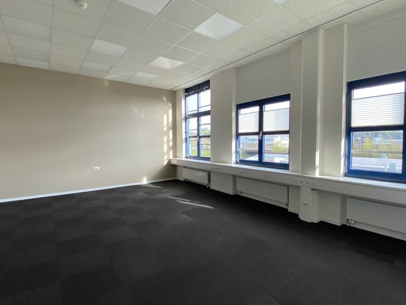 large room, white walls, black floor, three large windows, bench seating by windows, white ceiling