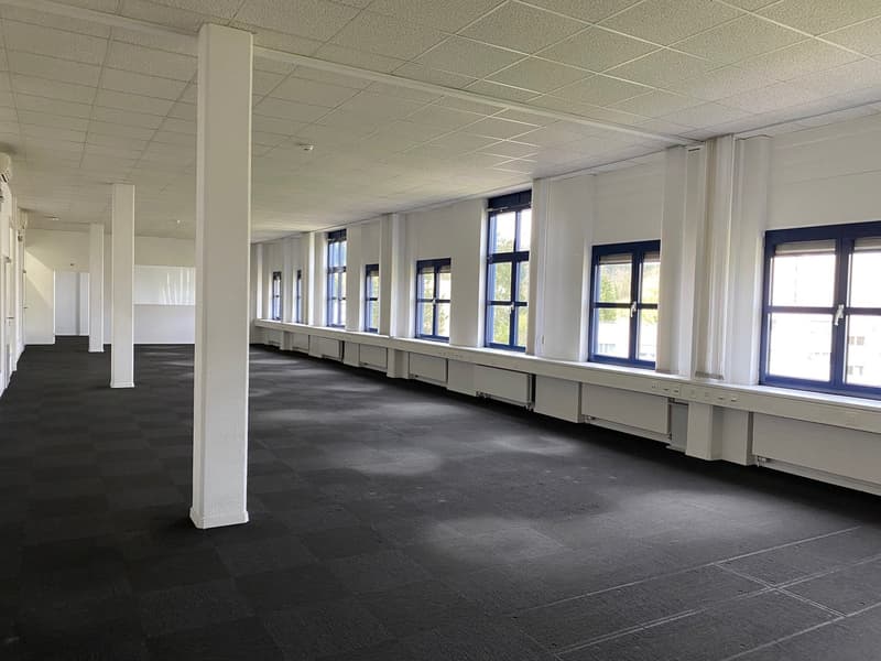 empty office with white walls, columns, black tiled floor, white ceiling, glass windows with blue frames