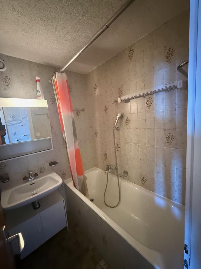Bel appartement 2 1/2 pièces à vendre dans la station de la Tzoumaz 4 Vallées (4)