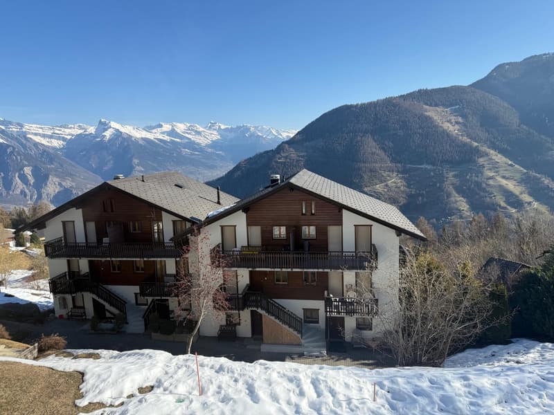 Bel appartement 2 1/2 pièces à vendre dans la station de la Tzoumaz 4 Vallées (8)