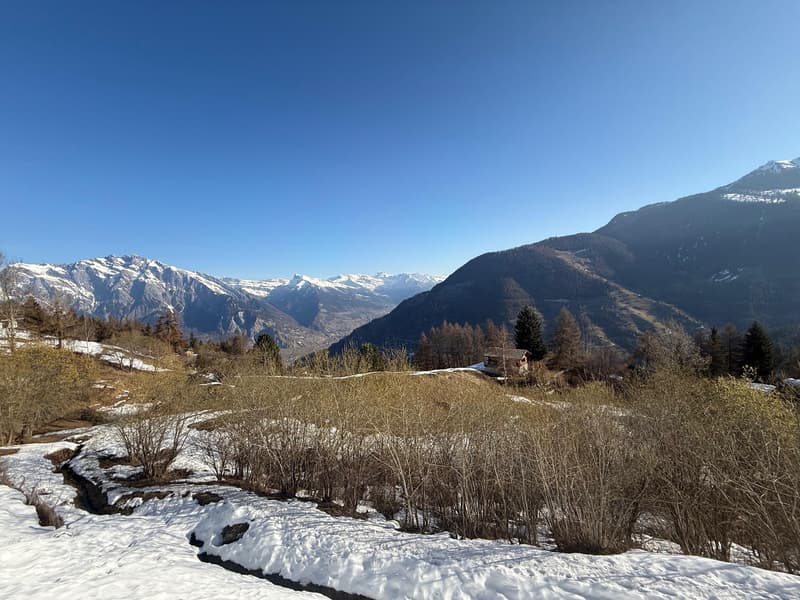 Bel appartement 2 1/2 pièces à vendre dans la station de la Tzoumaz 4 Vallées (6)