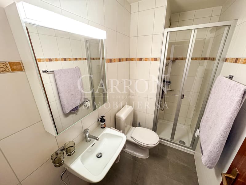 Magnificent 4.5-room attic in the heart of Vissigen (8)
