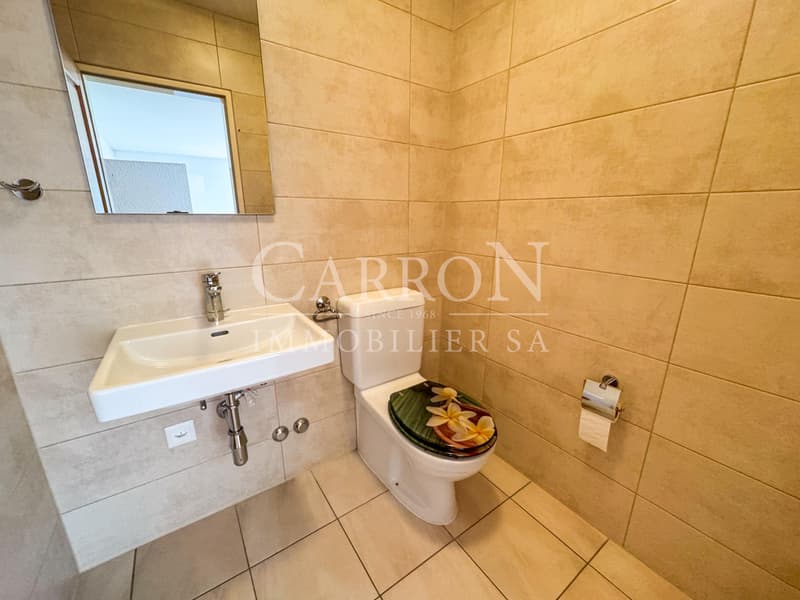 Magnificent 4.5 rooms in the heart of Châteauneuf-Sion (8)