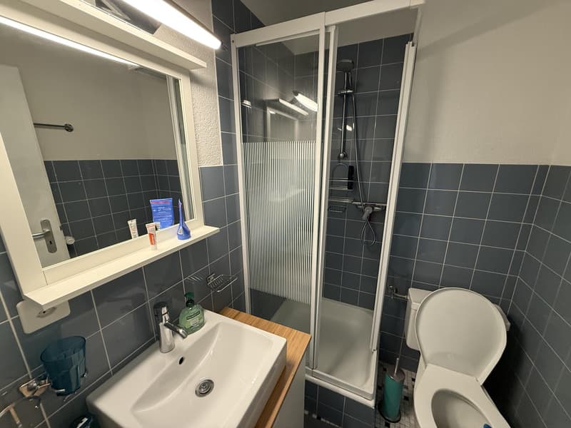 In der schönen Station Tzoumaz zu verkaufen 2 1/2-Zimmer-Wohnung (8)
