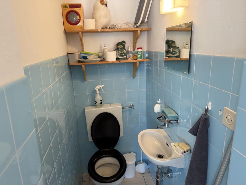 For sale in Tzoumaz a commercial space currently used as a laundry (5)