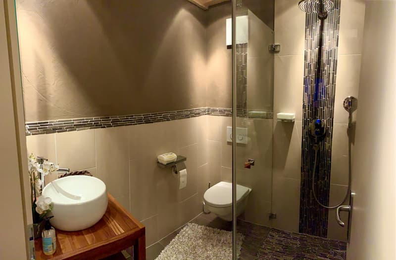 Meraviglioso attico duplex arredato di alto standing - 4,5 locali a Champlan (11)