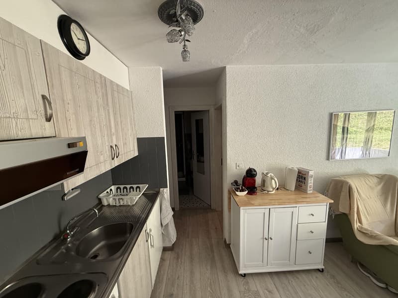 Dans la belle station de la Tzoumaz à vendre appartement 2 1/2 pièces (4)