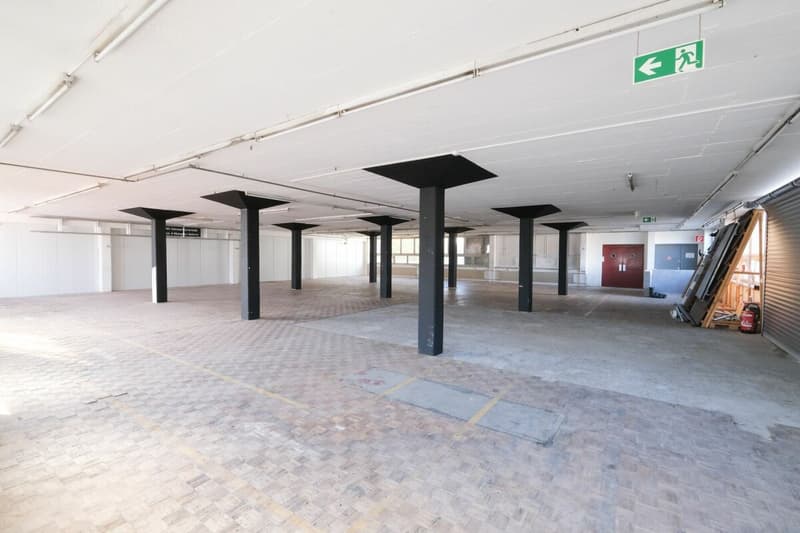 Warehouse space for rent (1)