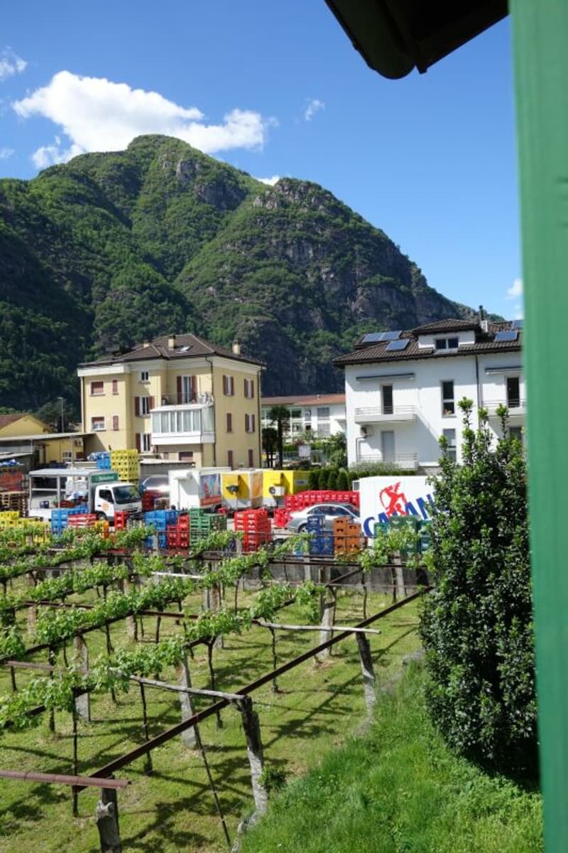 Land of 1289 m2 with approved license (5)
