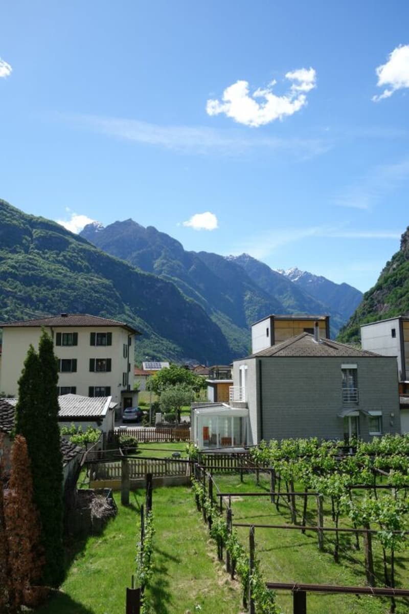 Land of 1289 m2 with approved license (6)