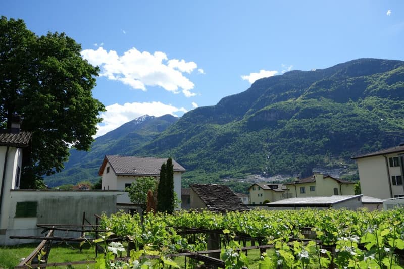 Land of 1289 m2 with approved license (8)