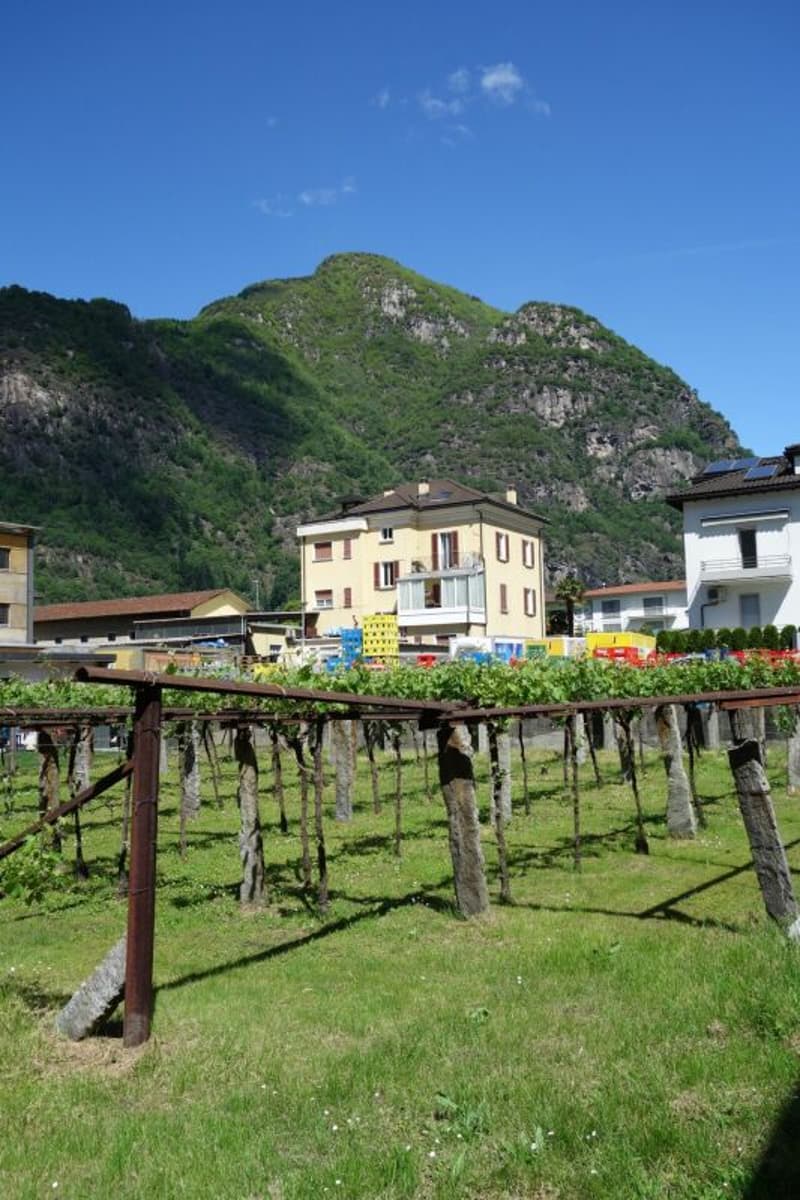 Land of 1289 m2 with approved license (4)
