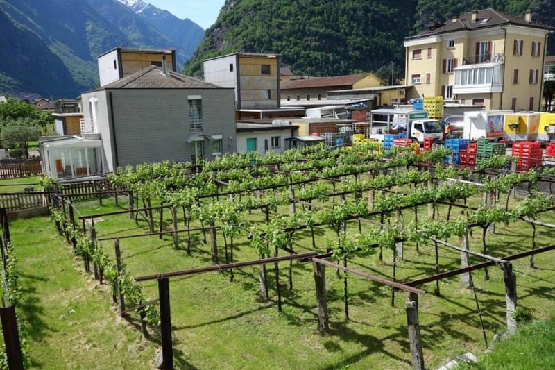 Land of 1289 m2 with approved license (3)