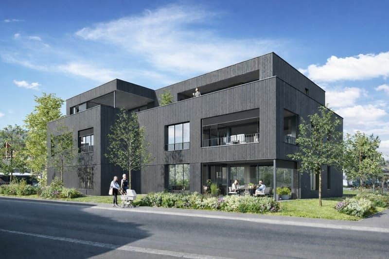 Newly built apartment in a quiet residential area (1)