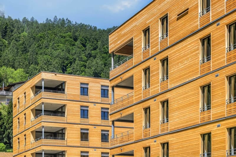 Erstbezug - 4.5 Zimmer-Wohnung - Überbauung Bawangs (9)