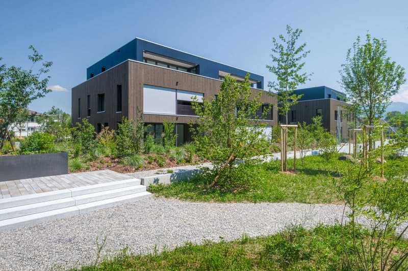 Living with a view of the Berneck vineyards - Emseren development, Au (10)