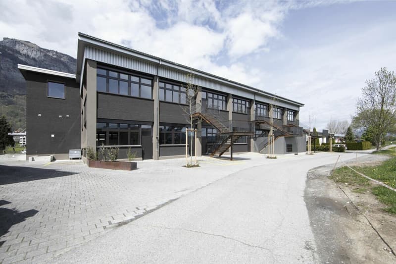 Culture urbaine vivante : Locataire recherché pour un loft d'usine unique (7)