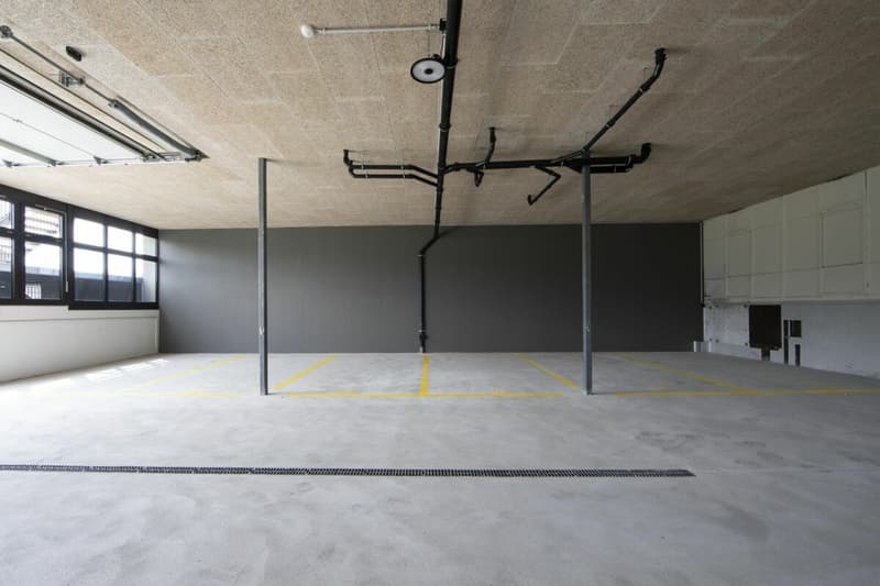 Culture urbaine vivante : Locataire recherché pour un loft d'usine unique (6)