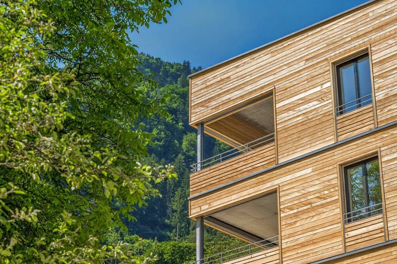 Erstbezug - 4.5 Zimmer-Wohnung - Überbauung Bawangs (11)